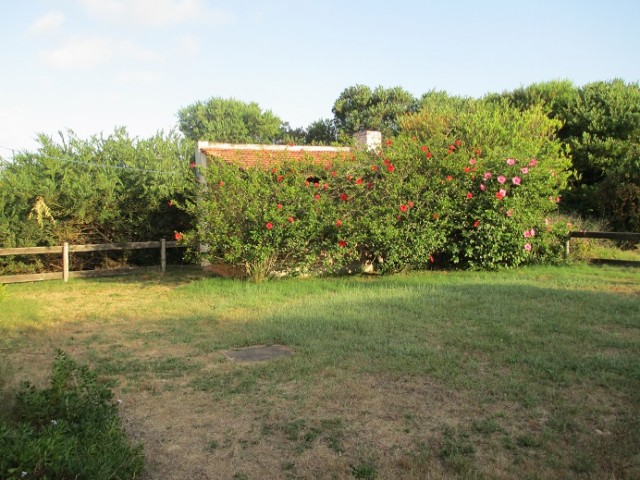 C2078f19