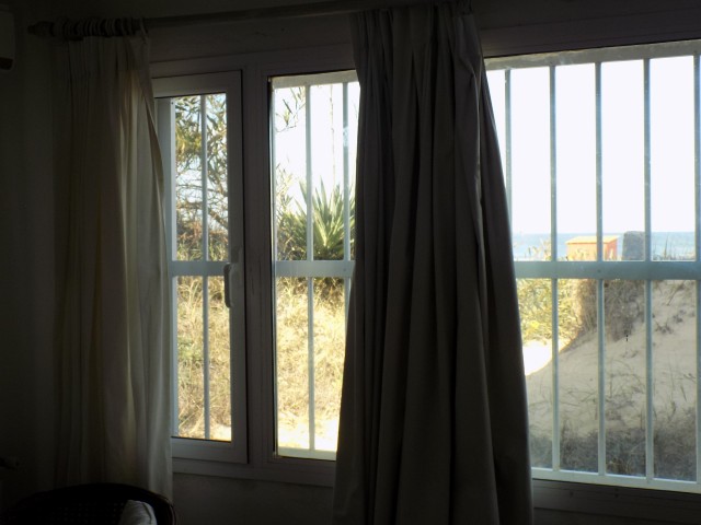 DSCN5074