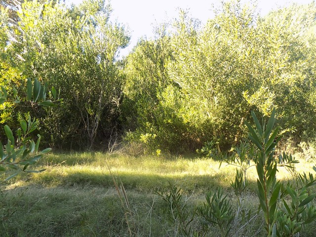 OPORTUNIDAD TERRENO EN PLAYA SERENA