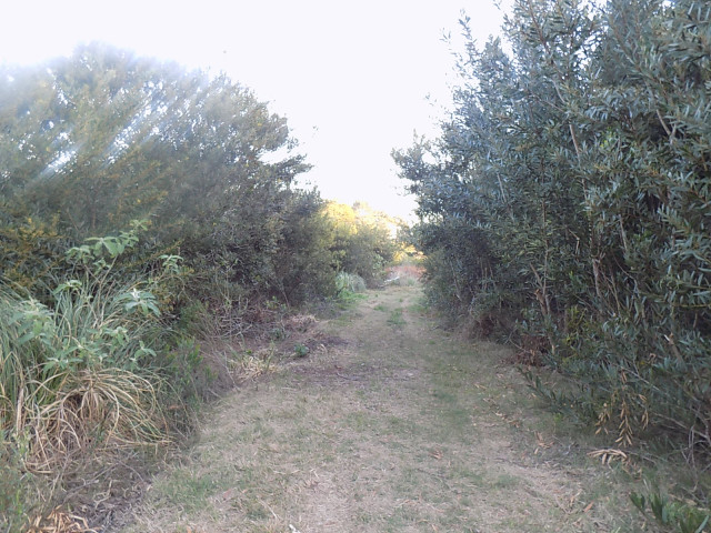 OPORTUNIDAD TERRENO EN PLAYA SERENA