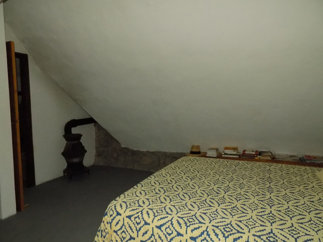 DSCN6632