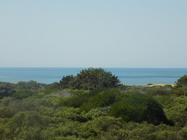 LA SIESTA EN EL BOSQUE - EL TRIÁNGULO