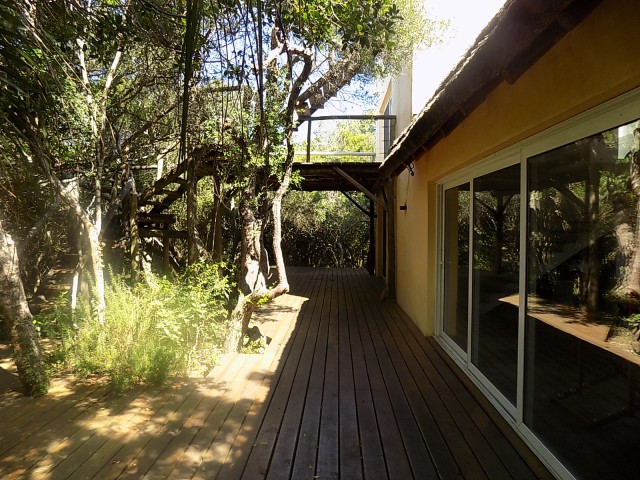 LA_SIESTA_EN_EL_BOSQUE_05