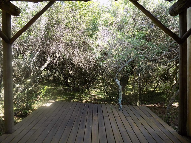 LA_SIESTA_EN_EL_BOSQUE_08