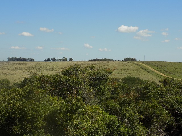 LA_SIESTA_EN_EL_BOSQUE_19